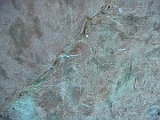 Western Michigan [2009] 194